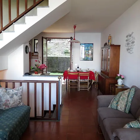 Thommy ストレーザ